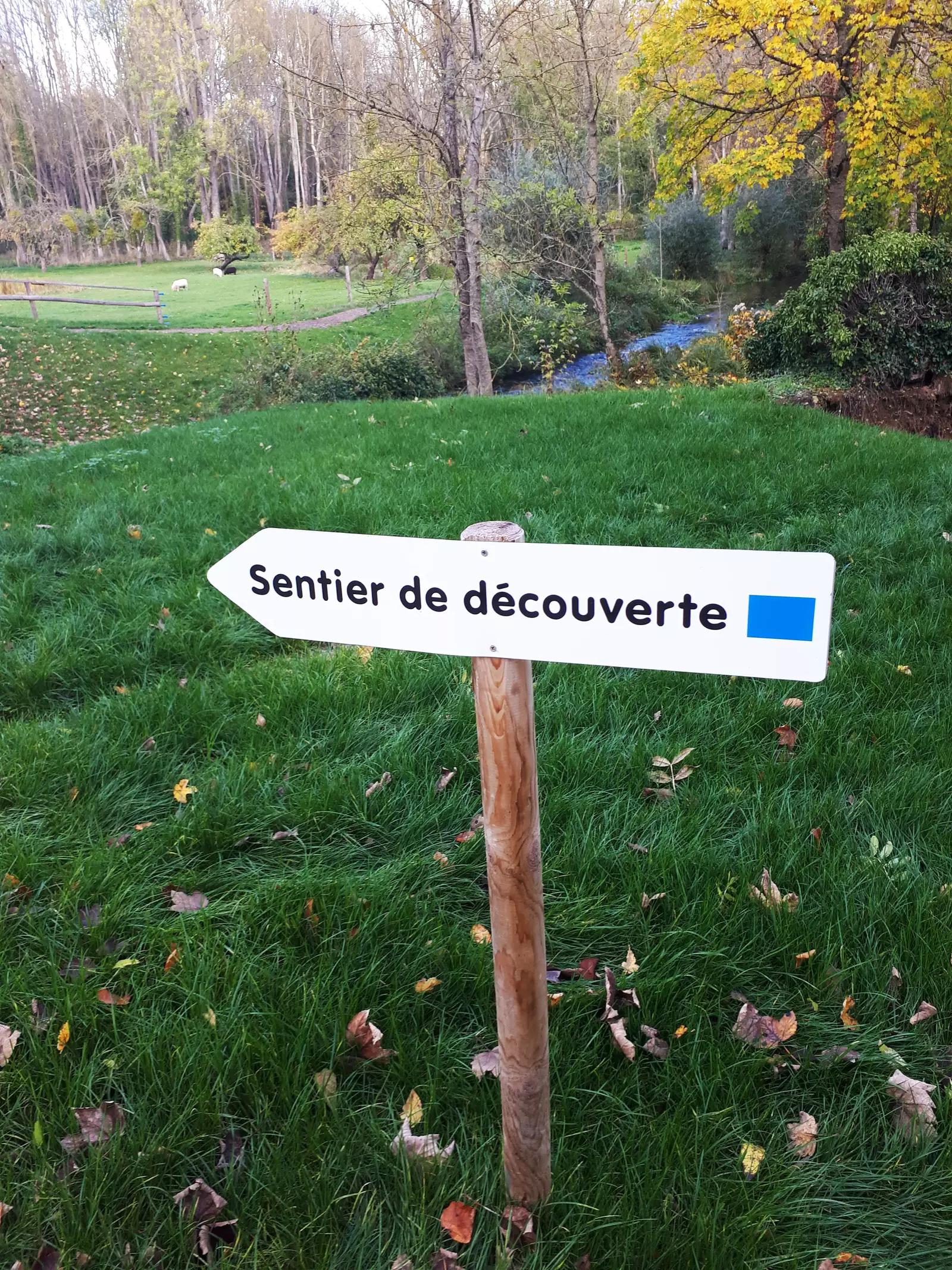 panneau de sentier avec mention sentier découverte